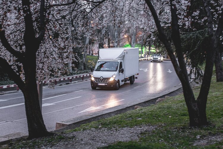 Img man & van versus skip hire which is best for me