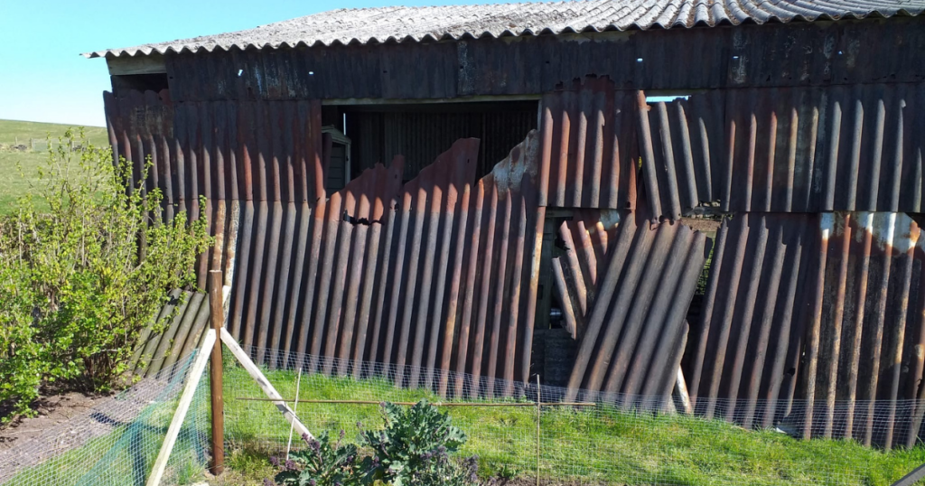 An asbestos containing barn waiting to be demolished